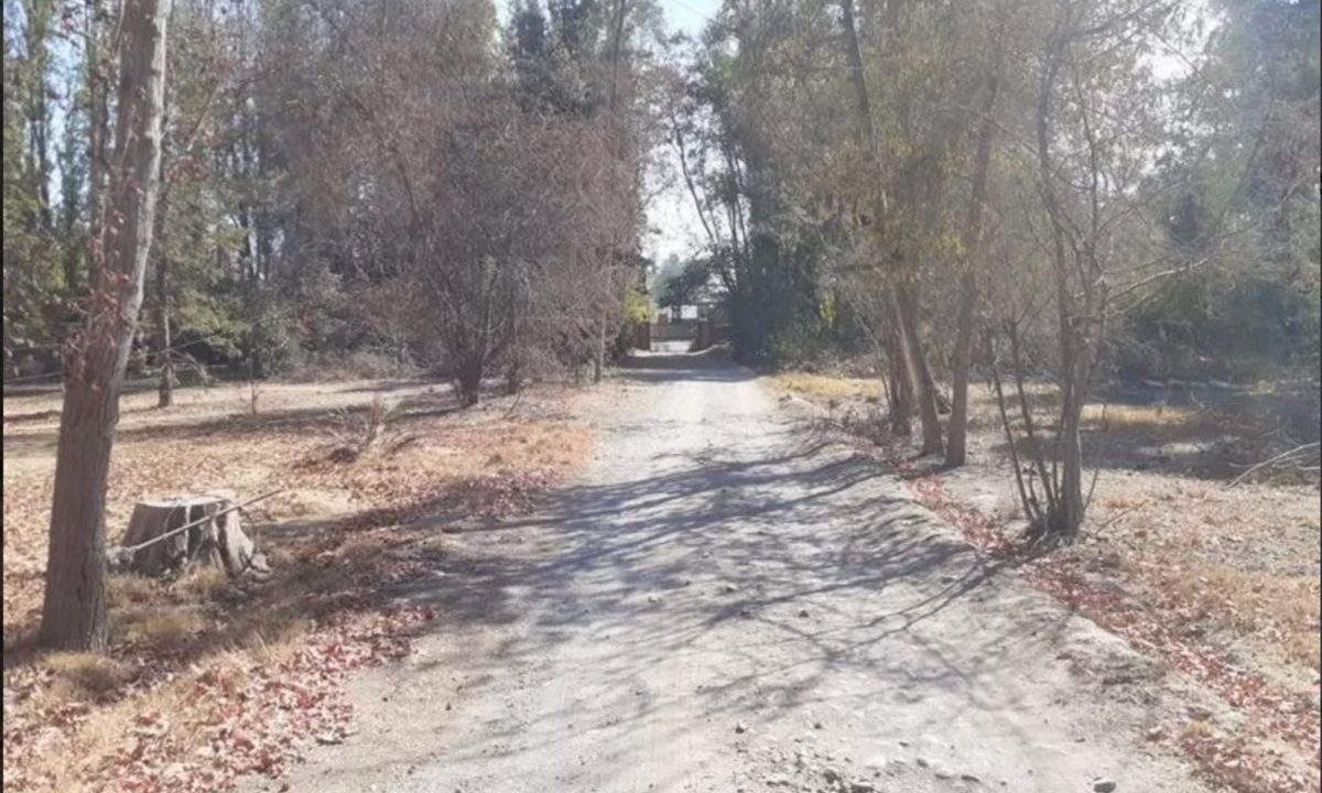 Sitio NOS 5