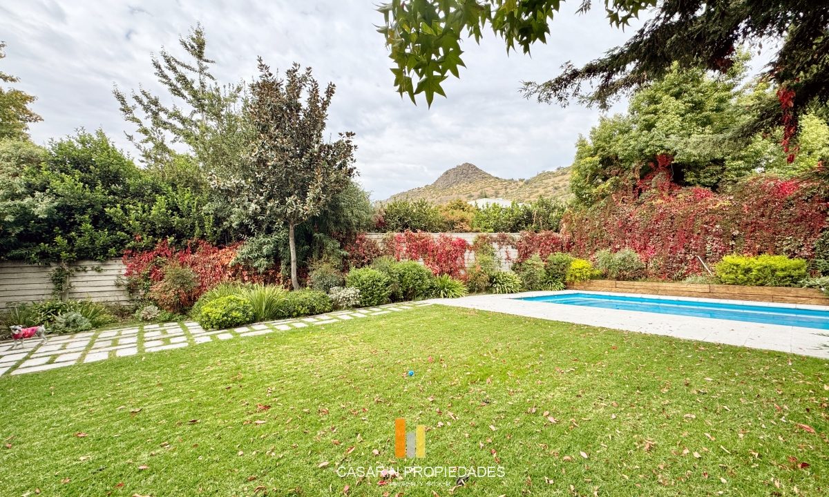 jardin 3