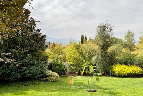 jardin vista
